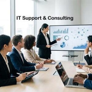 IT Support & Consulting